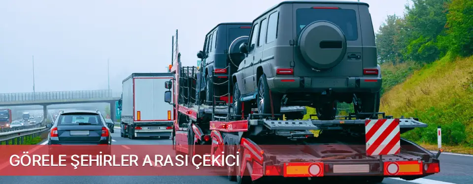 Görele İlçemi Şehirler Arası Çekici